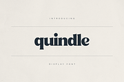 Quindle – Retro Serif Display Font, a Serif Font by Only Fonts (Thumbnail 1 of 11)