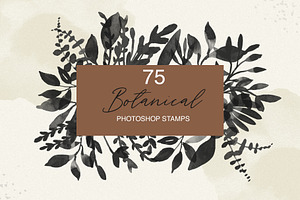 Botanical Photoshop Stamps