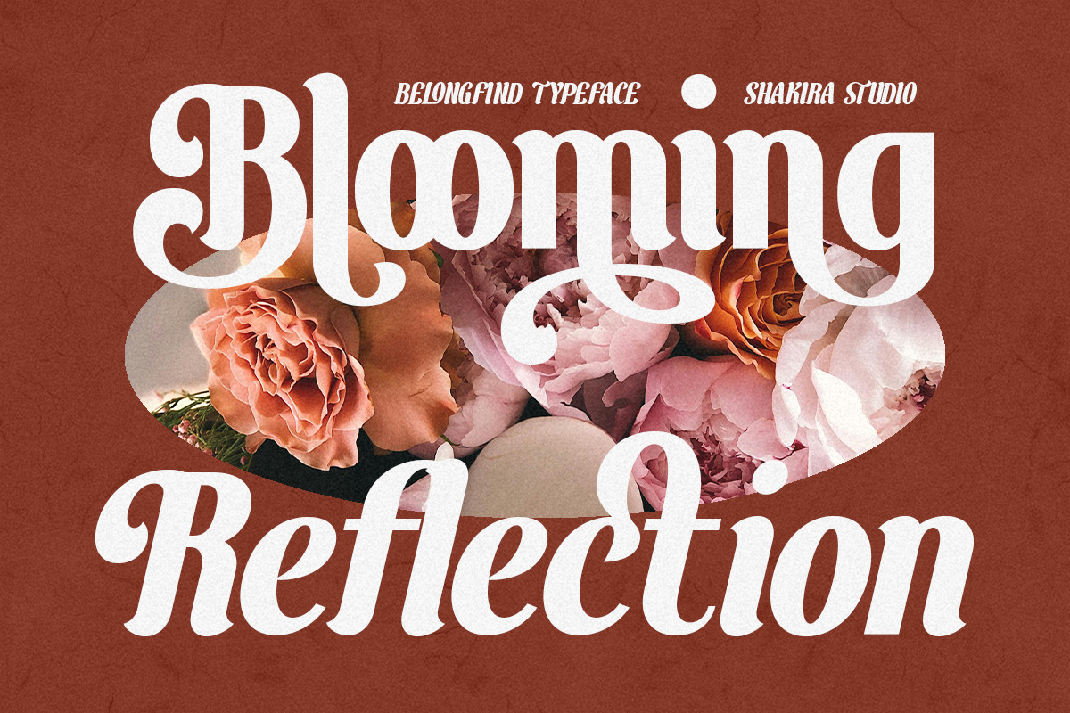 BelongFind - Display Serif, a Serif Font by Shakira Studio (Photo 6 of 10)
