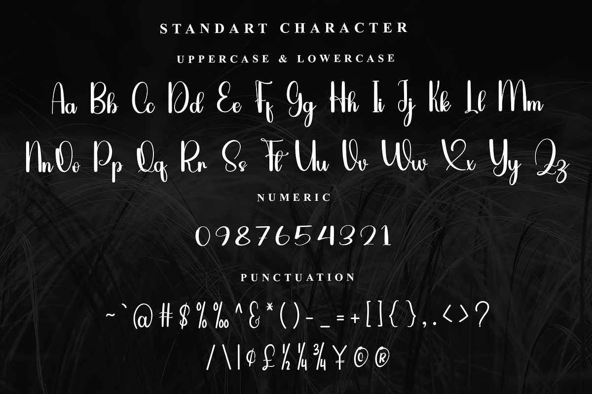 Sunday calligraphy, a Handwritten Font by FreshTypeINK (Photo 6 of 7)