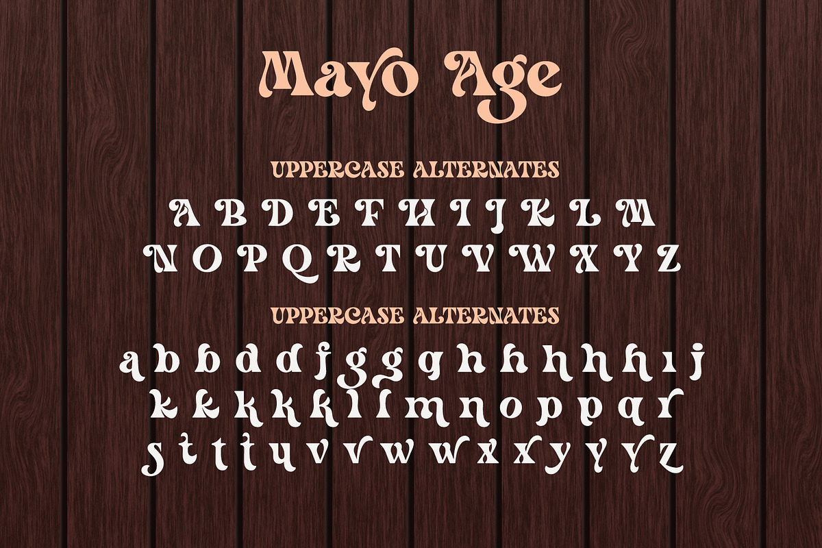 Mayo Age - Modern Vintage Serif Font, a Serif Font by Airotype (Photo 12 of 13)