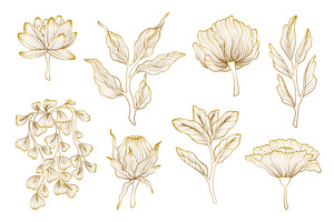 Gold Line Floral Elements. Luxury