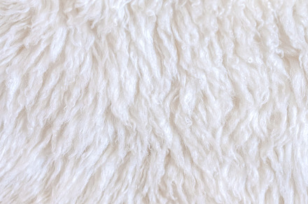 White wool sheep hair texture stock photo containing wool and texture, an Abstract Photo by Casanowe-studio