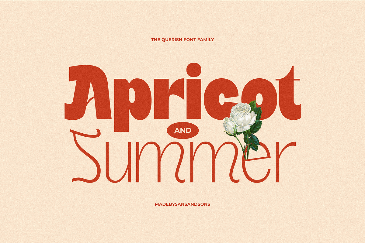 SNS - Querish, a Sans Serif Font by Sans & Sons (Photo 6 of 10)