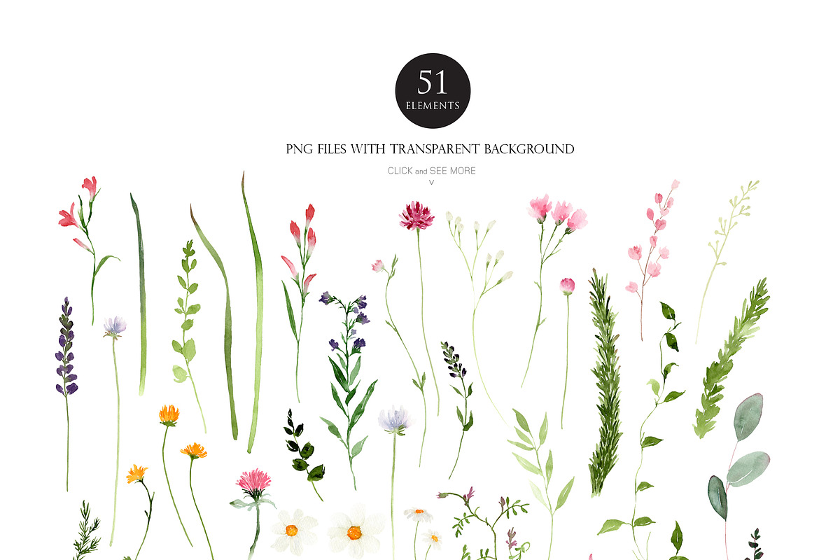 Watercolor flower -Wild flower, an Illustration by Beigetime (Photo 5 of 9)