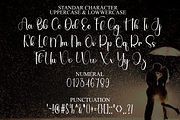 Enchanting Wildflower, a Handwritten Font by FreshTypeINK (Thumbnail 5 of 8)