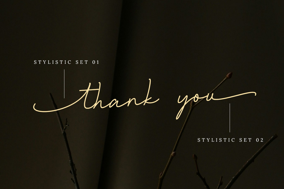 Living my story, a Script Font by Bluestype Studio (Photo 9 of 9)