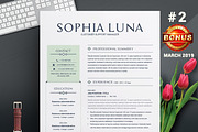 Resume/CV Bundle | 200+ for $29, a Resume Template by ResumeInventor (Thumbnail 43 of 207)