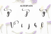 Variety | Script Font, a Handwritten Font by Scratchones (Thumbnail 8 of 9)