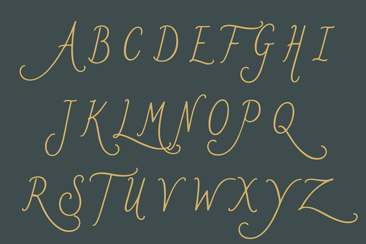 Romanster Merkuria - Elegant Script, a Handwritten Font by HypeWorksCo (Photo 15 of 16)