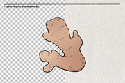 Ginger Set 10 PNG, a Food Illustration by LOKSKIH (Thumbnail 2 of 3)