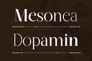 Maglenz - Serif Family Font, a Serif Font by Flawless And Co (Thumbnail 3 of 10)