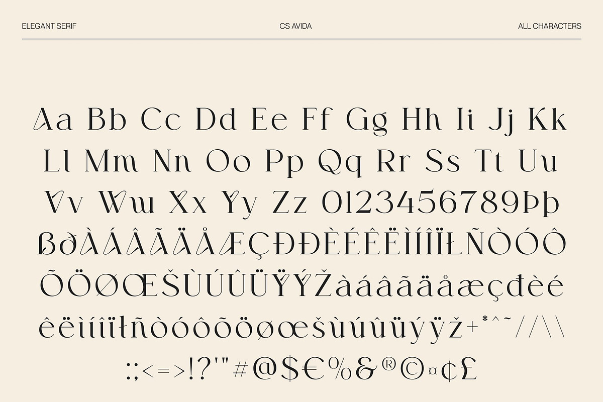 CS Avida – Elegant Serif Font, a Serif Font by Craft Supply Co. (Photo 8 of 8)