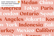 Mikela - Gorgeous Typefaces, a Serif Font by Kaligra.co (Thumbnail 5 of 49)