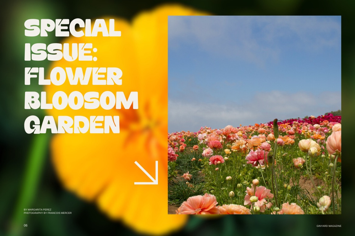 Daffiys - Cartoon Retro Font, a Sans Serif Font by Dhabee (Photo 5 of 16)