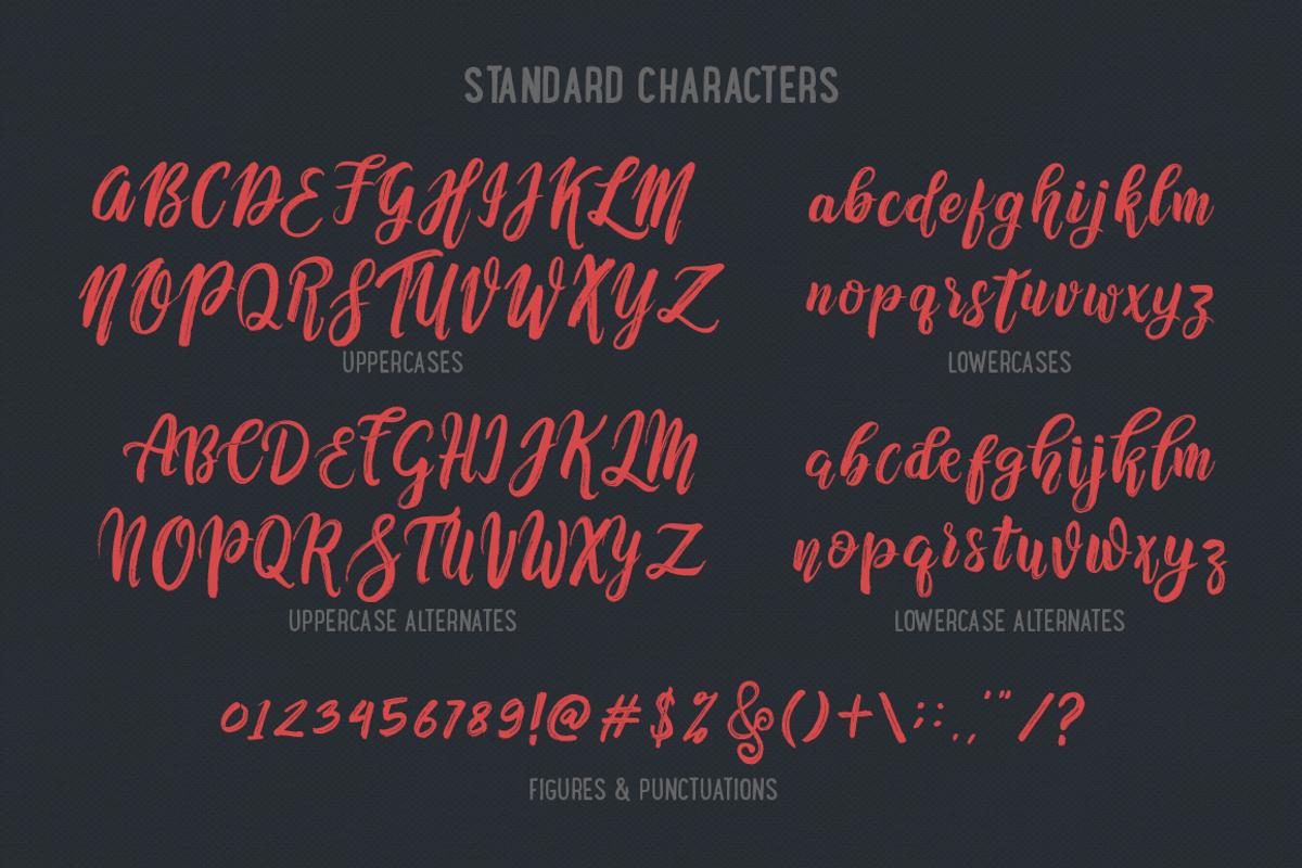 Nafasyah - Brushed Font Duo, a Script Font by endita (Photo 4 of 12)