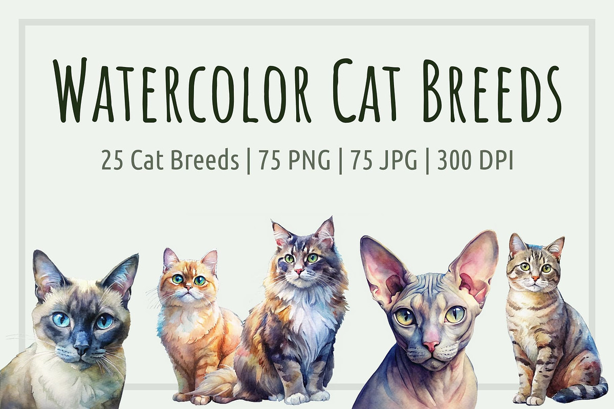 Watercolor Cat Breed Illustrations, an Animal Illustration by Palleon (Photo 1 of 7)