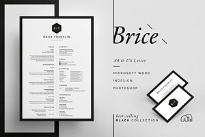 Resume/CV - Brice