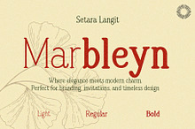 Marbleyn - Handmade Serif