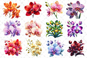 Watercolor Orchid Clipart, an Illustration by Dream Creation (Thumbnail 4 of 5)