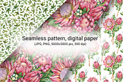 Protea seamless digital paper, a Pattern Graphic by Artmanata (Thumbnail 5 of 11)