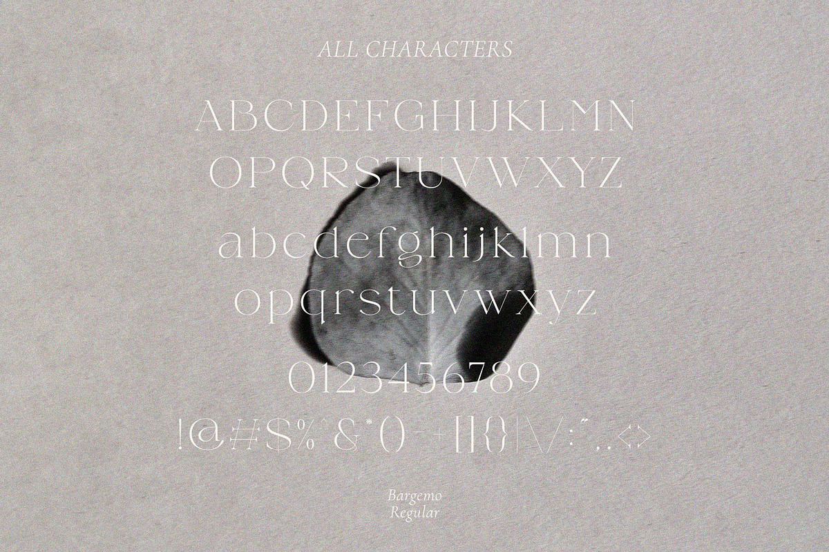 Bargemo – Modern Elegant Serif, a Serif Font by BrandSemut (Photo 10 of 10)