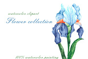 Blooming flowers watercolor clipart., an Illustration by SabinaWatercolorArt (Thumbnail 5 of 8)