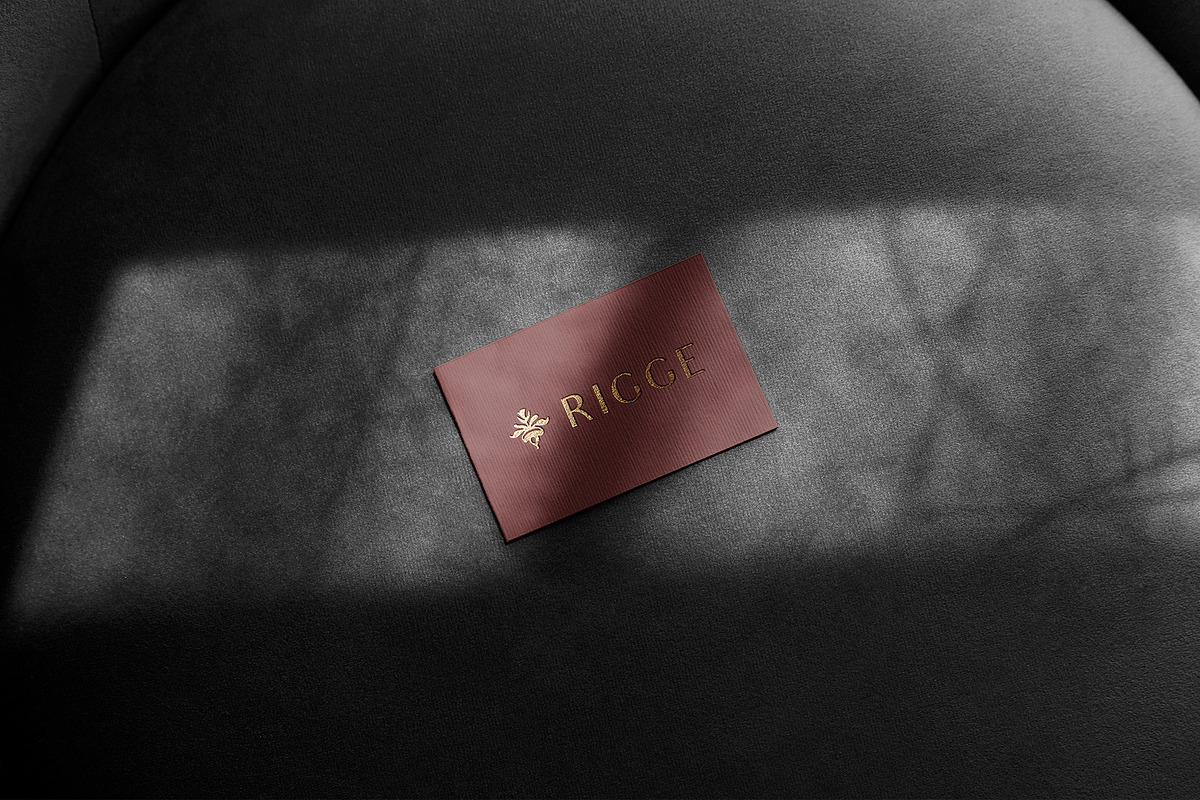 Business Card Mockup on Velvet, a Packaging Mockup by Asylab (Photo 4 of 5)