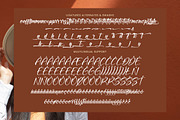Natural Botanicals, a Handwritten Font by operatype.co (Thumbnail 14 of 15)