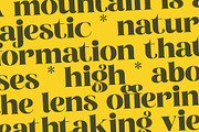 Broftin Resort Bold Serif Display, a Serif Font by timelesstype.co (Thumbnail 7 of 20)
