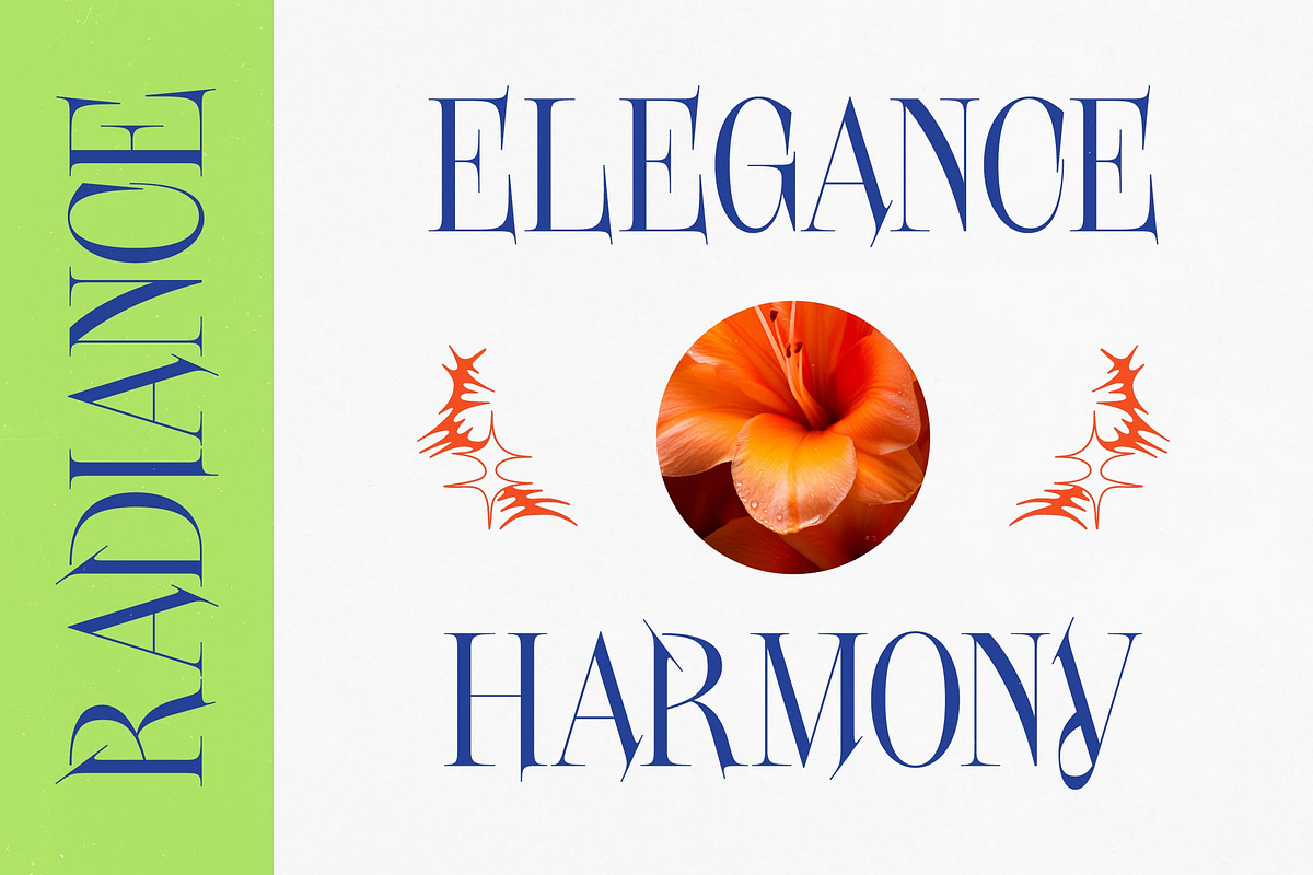 Digal Kestor Serif Display Font, a Serif Font by timelesstype.co (Photo 6 of 10)