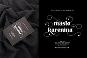 Display Series, a Serif Font by Attract Studio (Thumbnail 6 of 15)