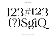 Regis | Elegant Serif Font Family, a Serif Font by Type and Co. (Thumbnail 10 of 20)