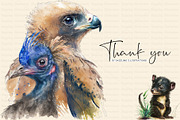 Australian Animals. Watercolor Set., an Animal Illustration by Dazzling Art Boutique (Thumbnail 8 of 8)