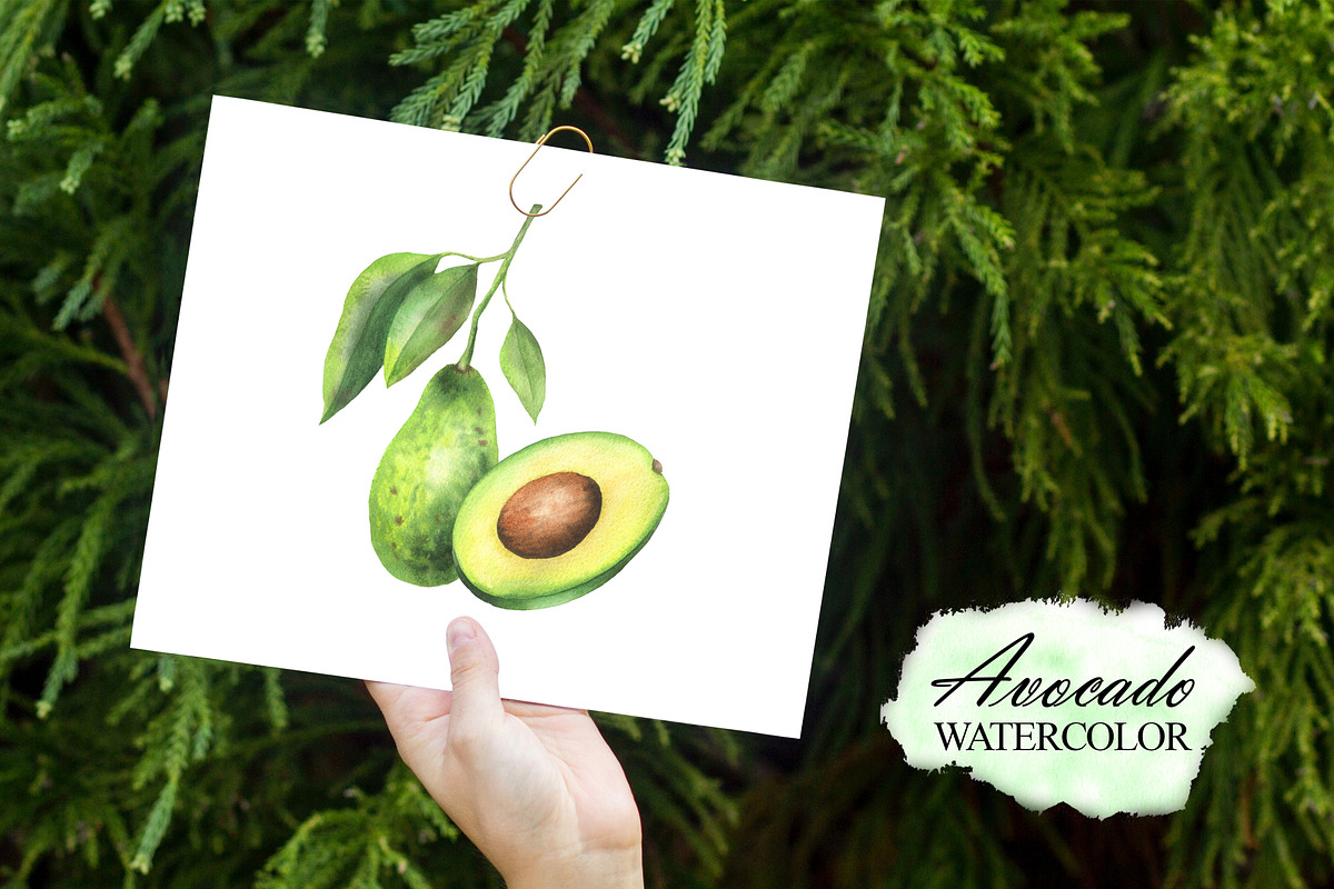 Watercolor avocado clipart, a Food Illustration by OlDm_Shop (Photo 5 of 6)