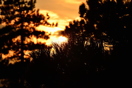 Sunrise At River And Forest preview 6