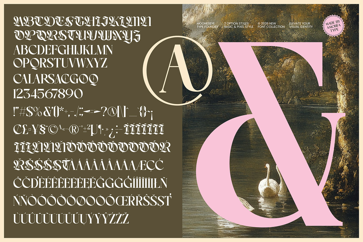 Choire Blackletter Pixel Display, a Blackletter Font by AmorfaType (Photo 8 of 8)