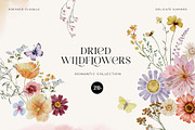 Dried Wildflowers - watercolor flora, an Illustration by SunnyAfternoons (Thumbnail 1 of 15)