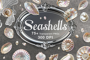 Seashells & Pearls PNG Collection