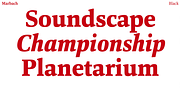 Marbach, a Serif Font by Hoftype (Thumbnail 6 of 15)
