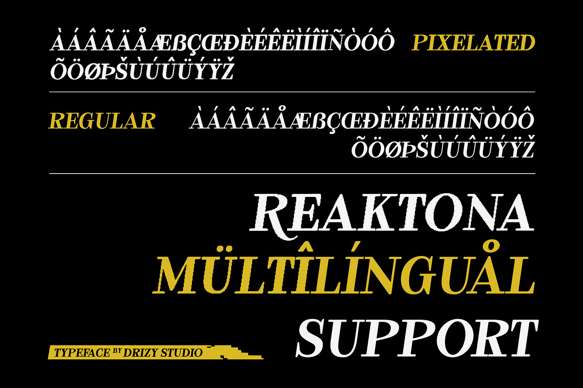 Reaktona - Pixel Slanted Serif Font, a Serif Font by Drizy (Photo 6 of 10)