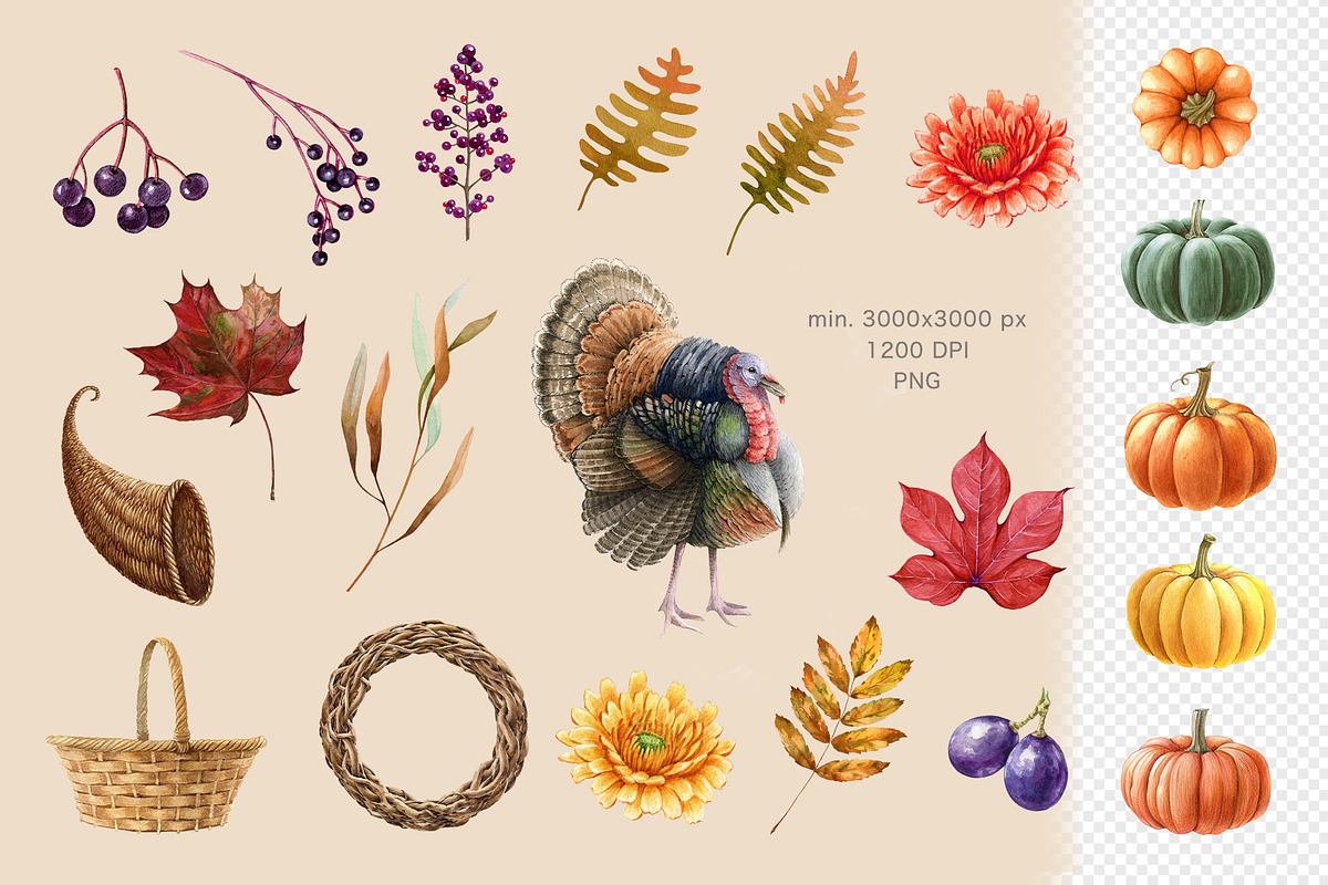 Thanksgiving Watercolor Clipart, a Seasonal Illustration by AnitaPol (Photo 8 of 17)