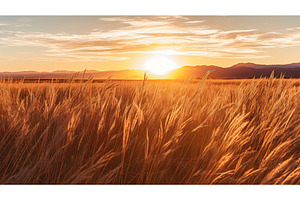 brittle brown grass field ai, a Background Photo by pikepicture