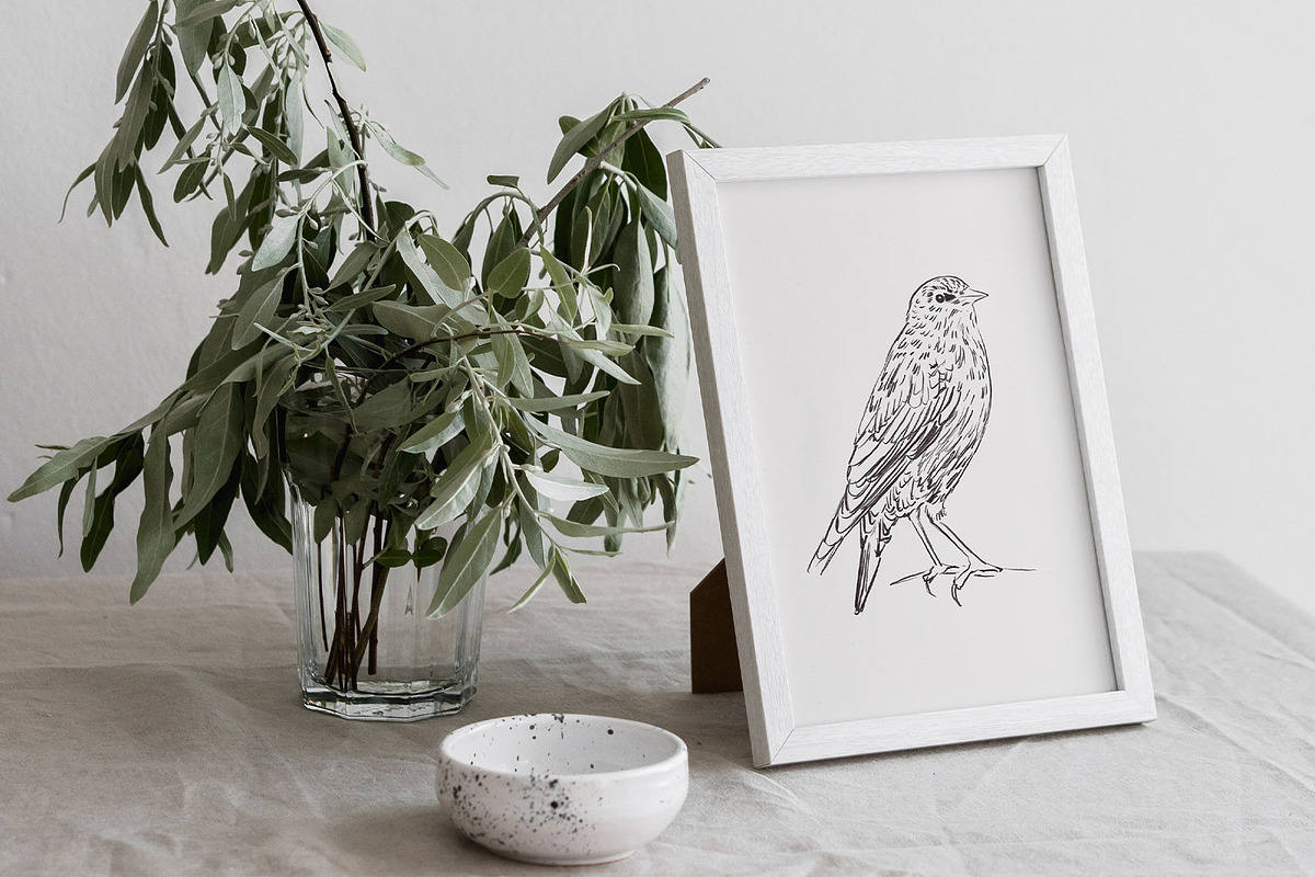 FOREST SONG birds sketches, an Animal Illustration by Yuliia Lashevska (Photo 11 of 15)