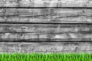Wood background and grass, an Abstract Photo by BOOCYS
