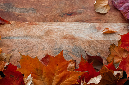 Fallen autumn leaves in the form, a Nature Photo by LiaKoltyrina