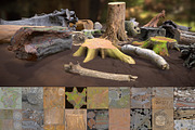 Forest Elements, an Environmental 3D Model by Beatheart Creative Studio (Thumbnail 20 of 25)