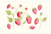 strawberries, an Illustration by helloPAPER (Thumbnail 2 of 2)