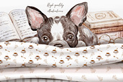 Cozy Home And Boston Terrier Puppies, an Object Illustration by Shabbypie (Thumbnail 4 of 4)