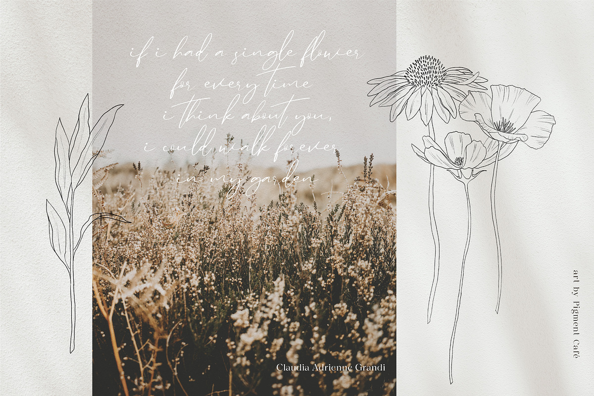 Meadow Flowers & Blooms Bundle, an Illustration by Pigment Café (Photo 5 of 9)